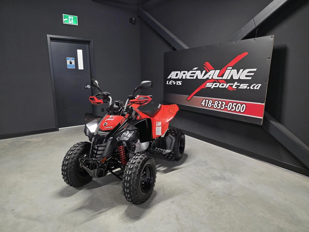 Can-am Ds 250 2023 alt