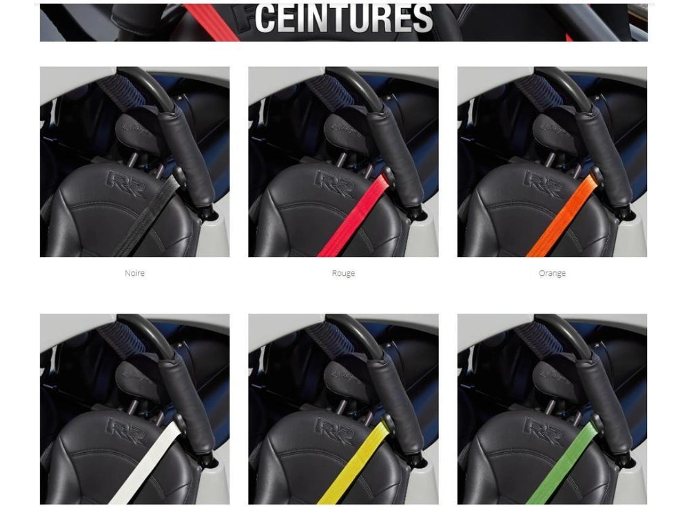 Campagna T-rex Rr Customize/ Personaliser Votre T-rez Commande Spécial 2025 alt