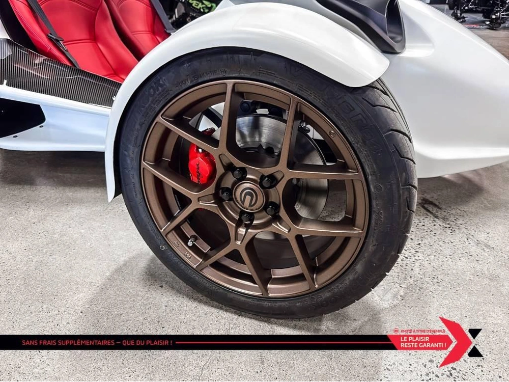 Campagna T-rex 2025 alt