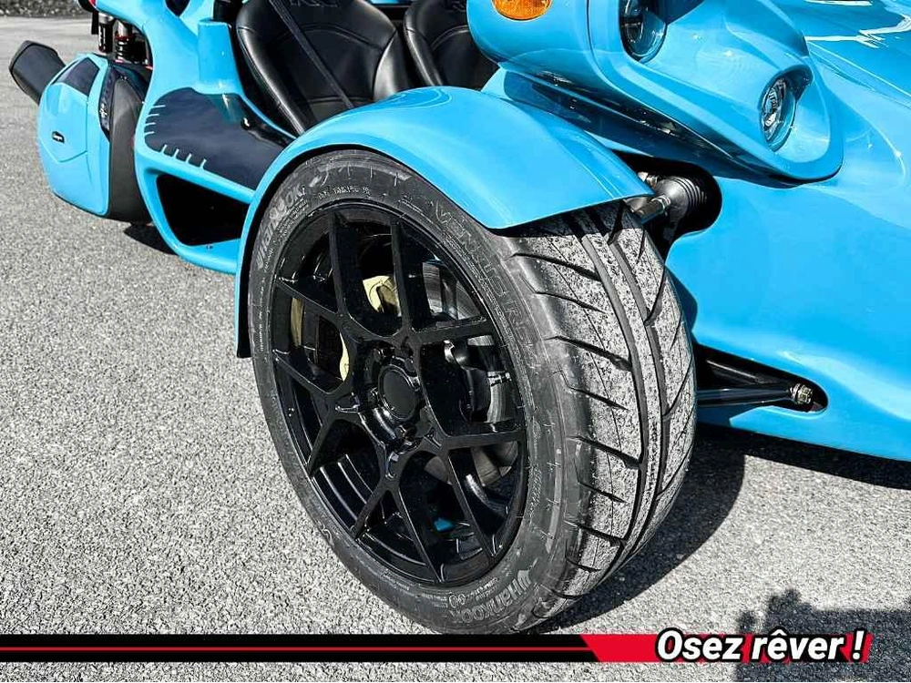 Campagna T-rex 2025 alt