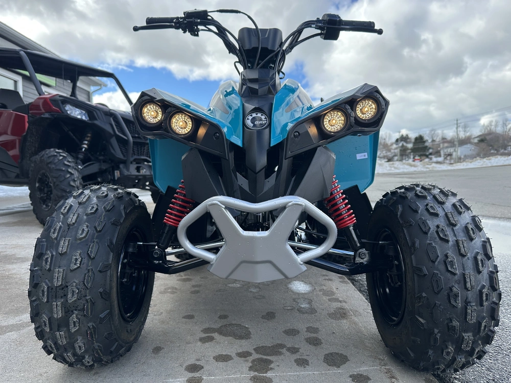 2025 Can-am Renegade 70 Efi alt