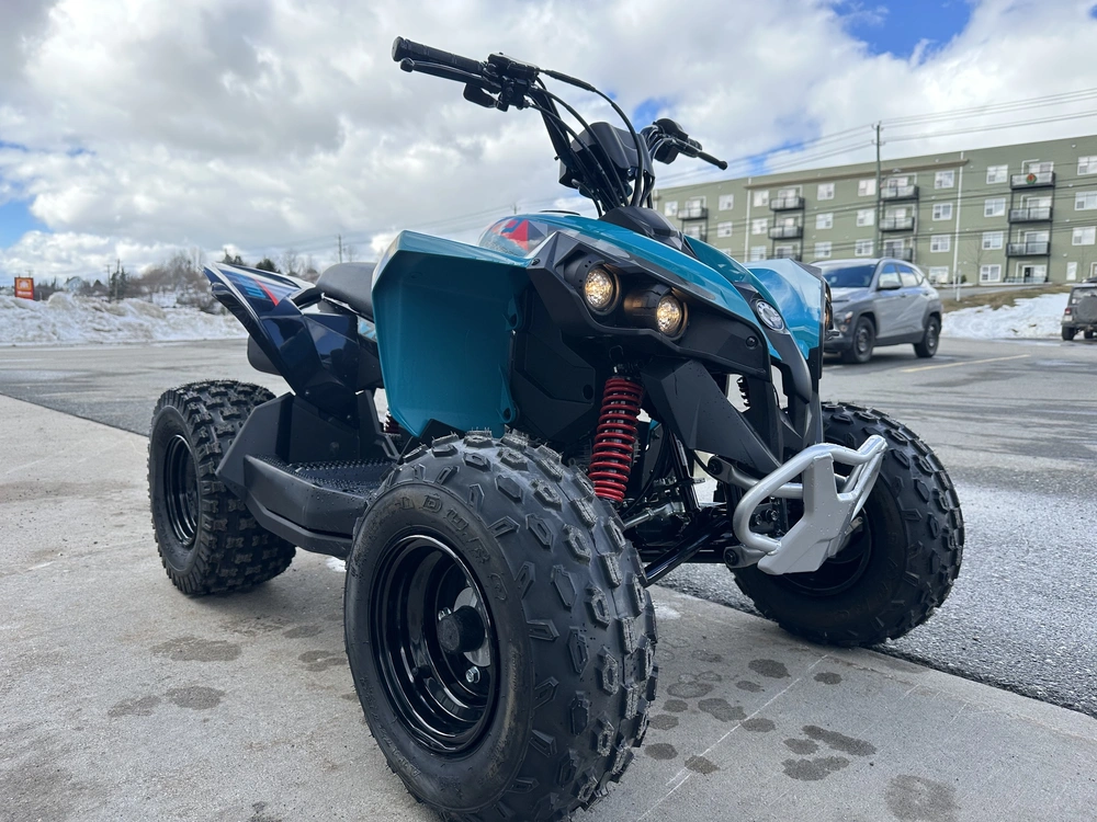 2025 Can-am Renegade 70 Efi alt