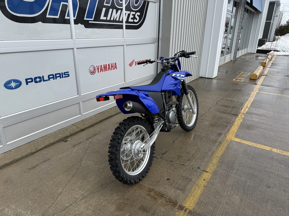 2025 Yamaha Tt-r 230 alt