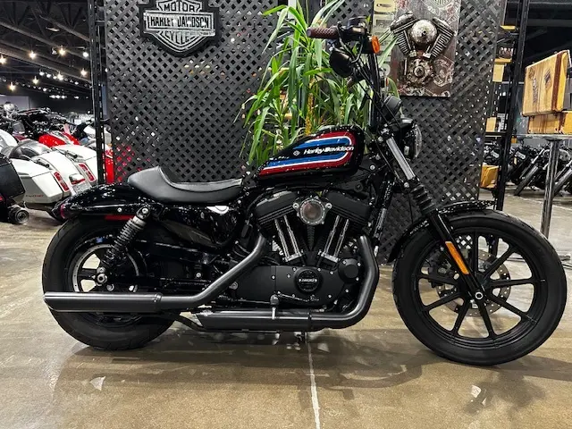 2021 Harley-Davidson Iron 1200XL1200NS