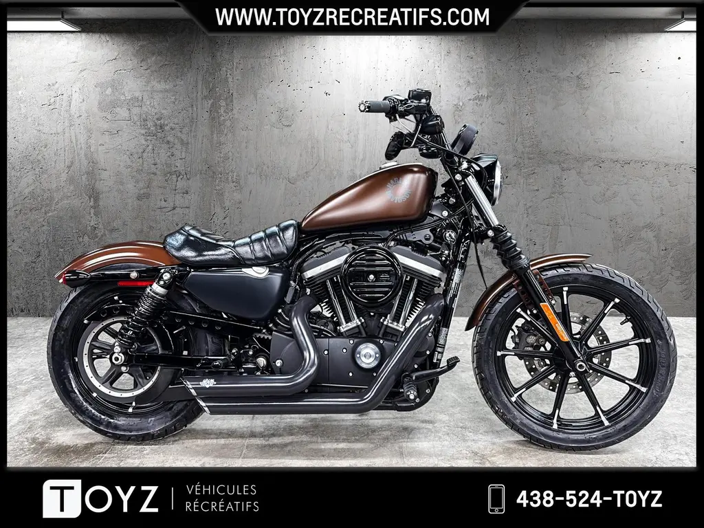 Harley-Davidson SPORTSTER IRON 883 CUSTOM  2019