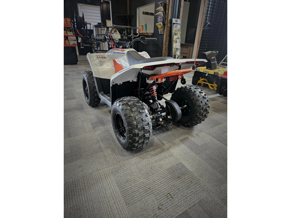 Cfmoto Ev 110 2024 alt