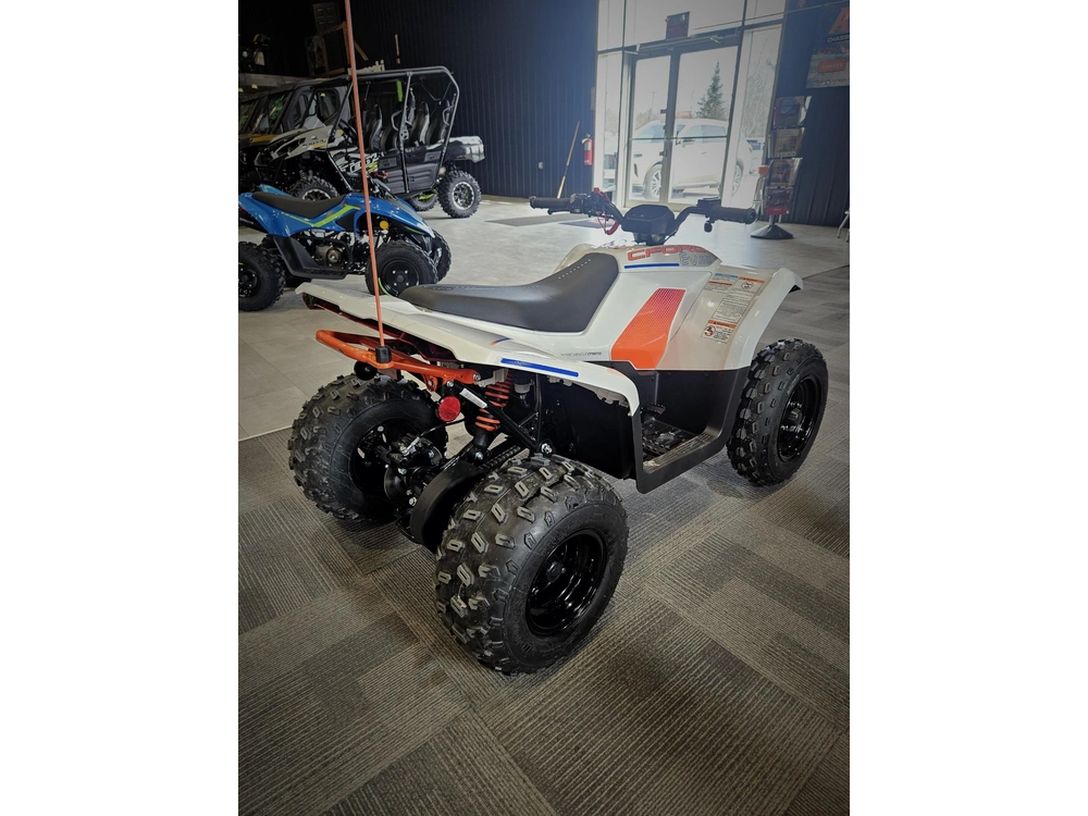 Cfmoto Ev 110 2024 alt