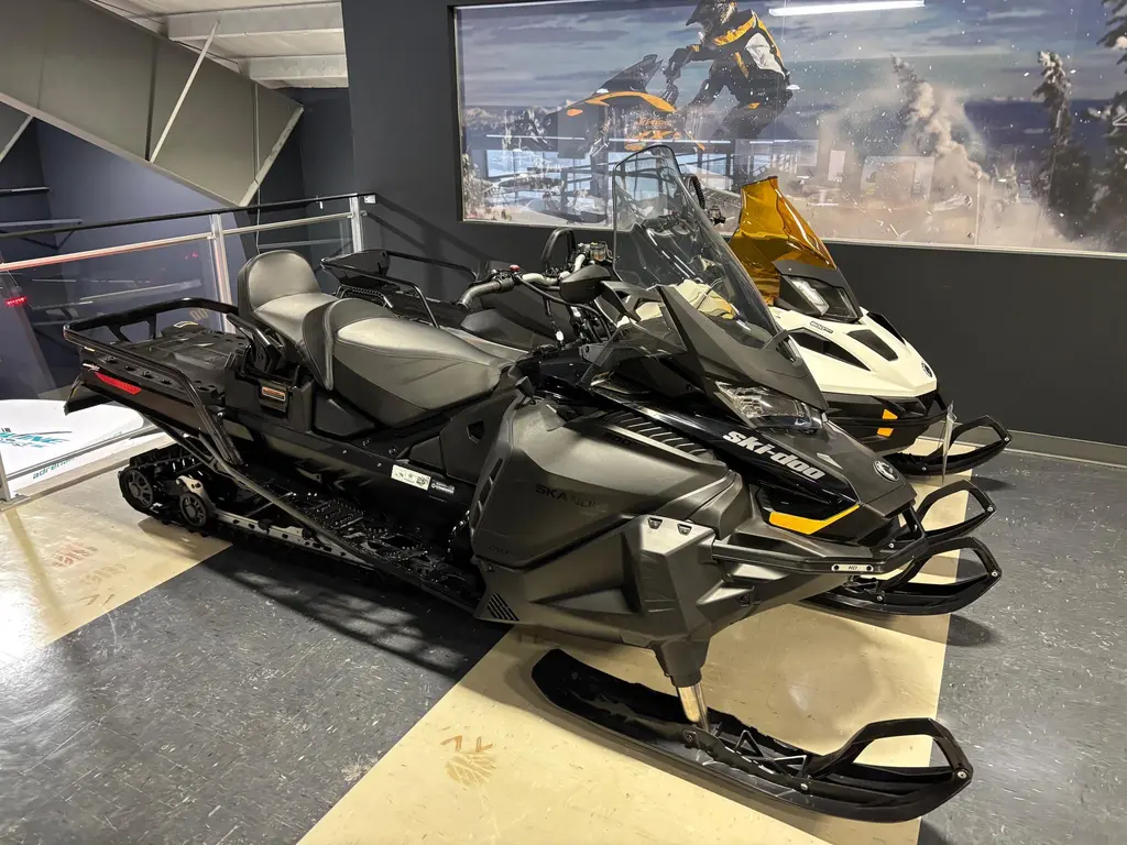 2022 Ski-Doo Skandic LE