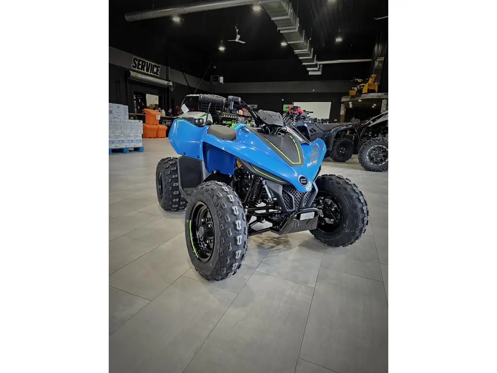 2025 CFMOTO CFORCE 110 CLASSIC 