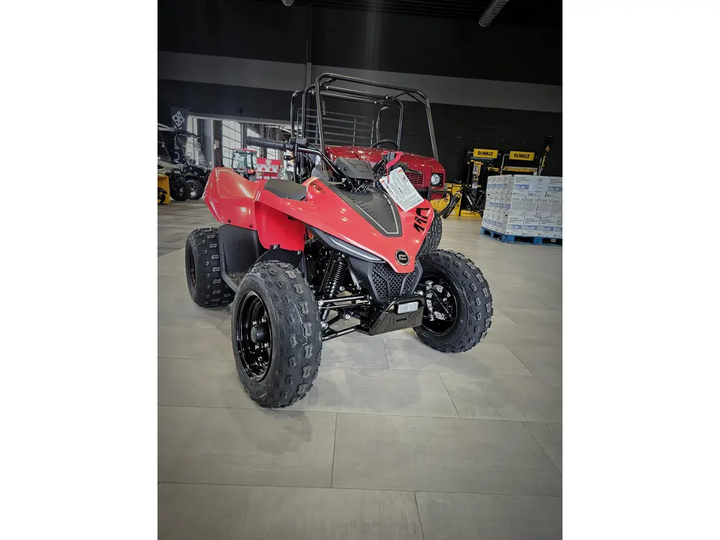 CFMOTO CFORCE 110 CLASSIC  2025