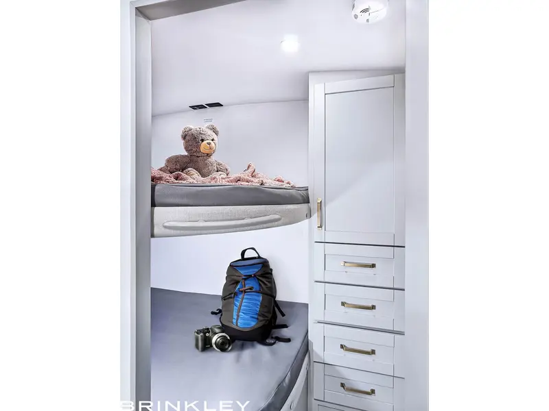 2025 Brinkley RV Z-AIR 295