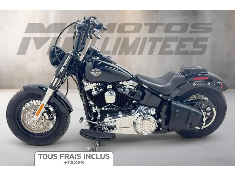 2013 Harley-Davidson FLS Slim 103