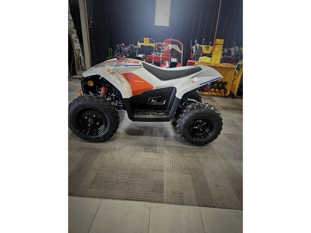 Cfmoto Ev 110 2024 alt