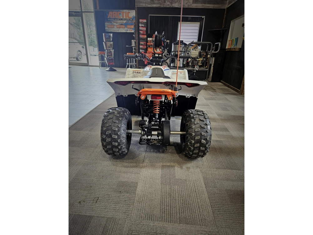 Cfmoto Ev 110 2024 alt