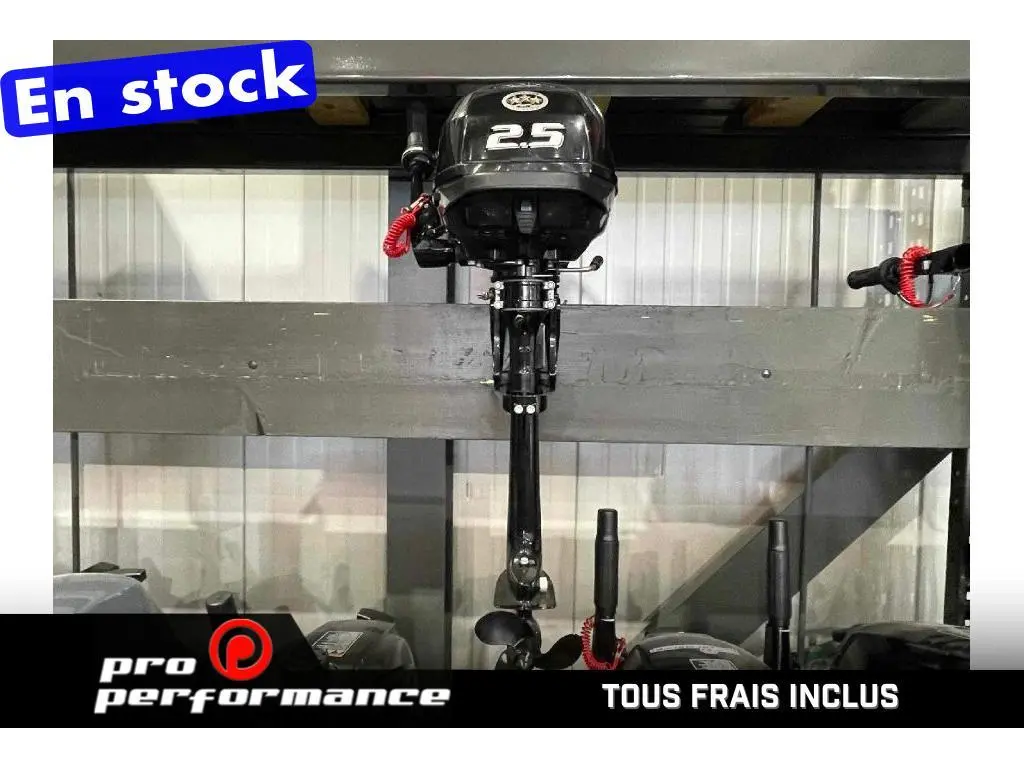 Suzuki MOTEUR HORS-BORD DF2.5S 2024