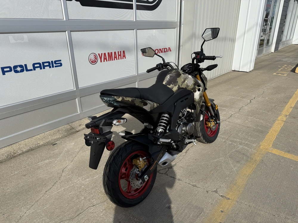 2025 Kawasaki Z125 Pro alt