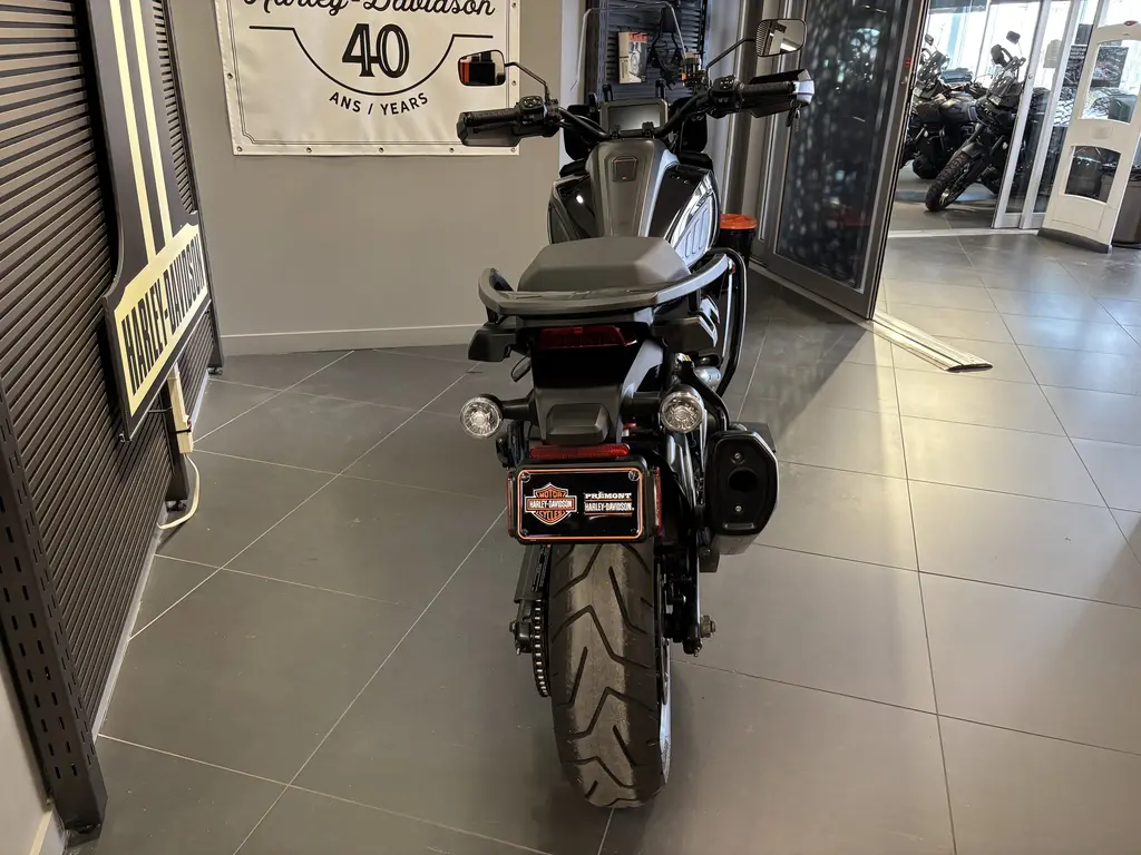 Harley-Davidson Pan America Special / RA1250SRA1250S 2021