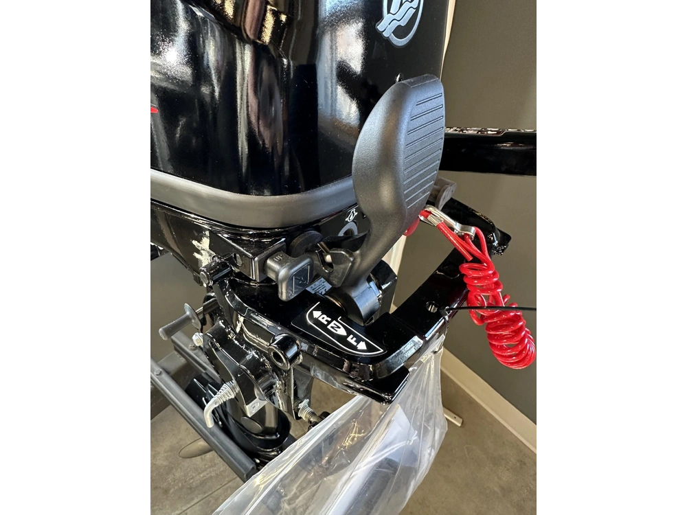 2024 Mercury Me6mh alt