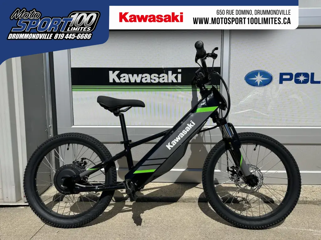 Kawasaki Elektrode 2025 - 20"