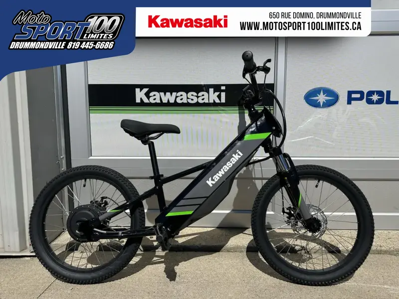 2025 Kawasaki Elektrode 20"