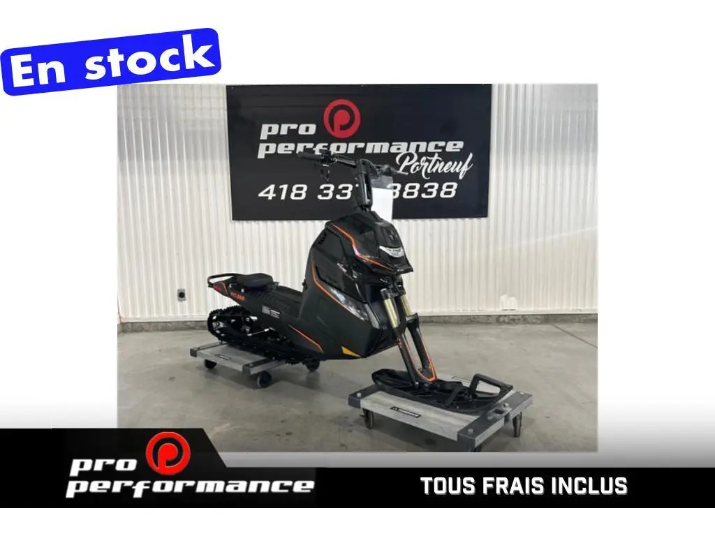 2024 Widescape WS 250 