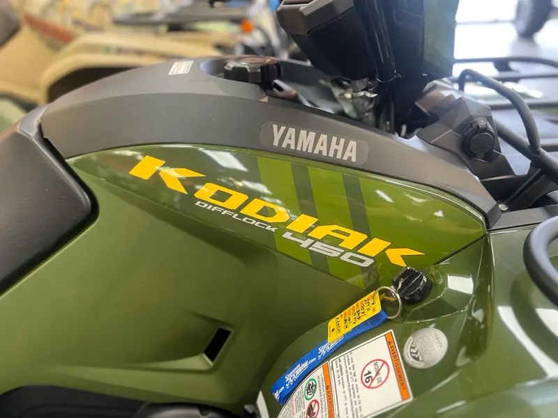 2025 Yamaha Kodiak 450 DAE