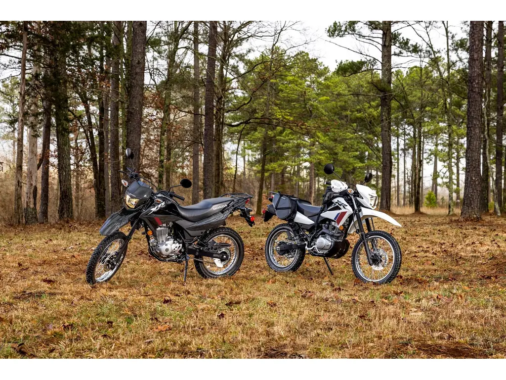 2025 Honda XR150LS 