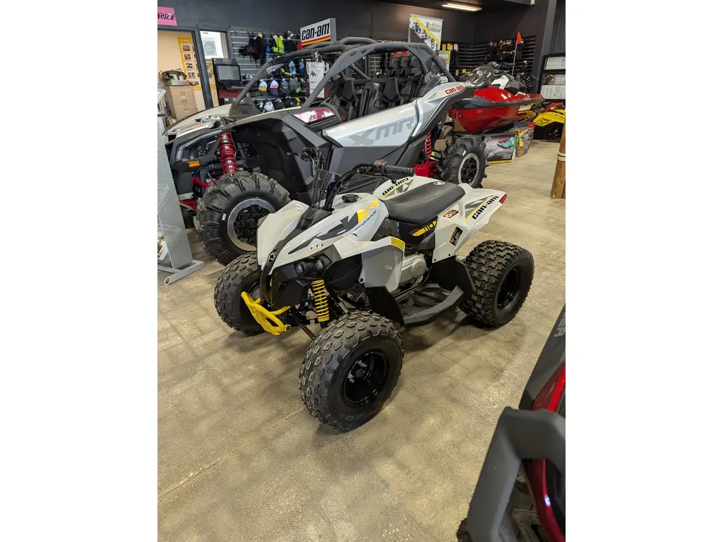 2025 Can-Am REN 2X4 110-4ST GY CALI 25 3CSA 