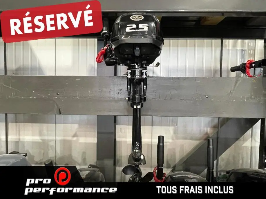 Suzuki MOTEUR HORS-BORD DF2.5S  2022