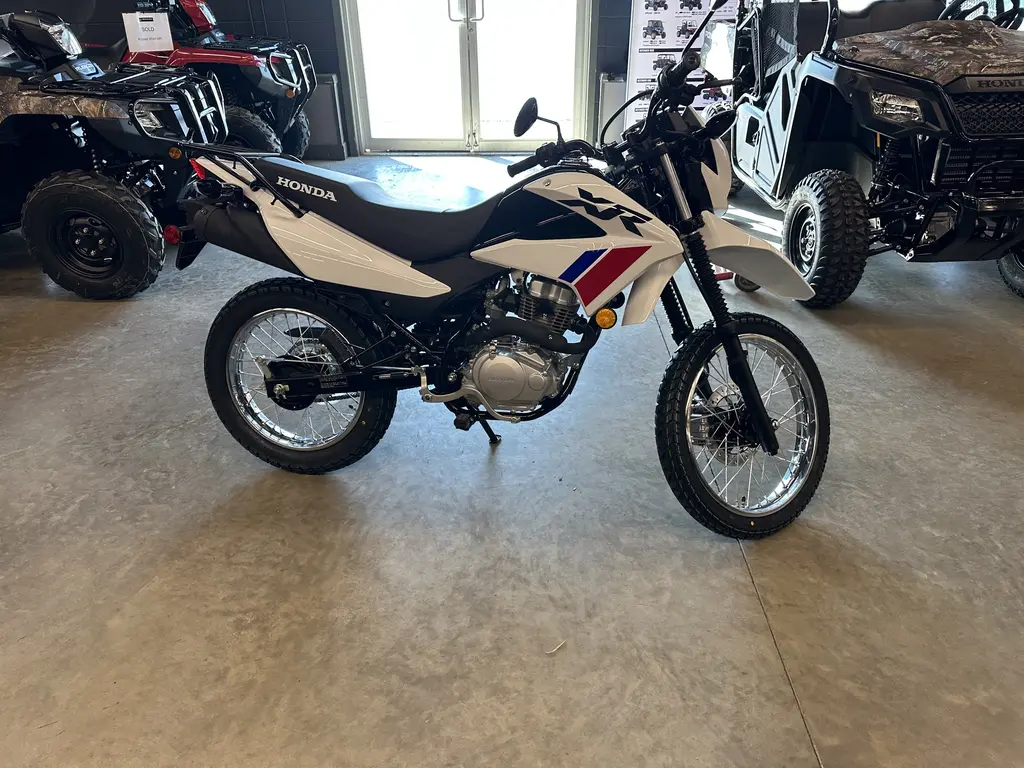 2025 Honda XR150LS DUAL SPORT