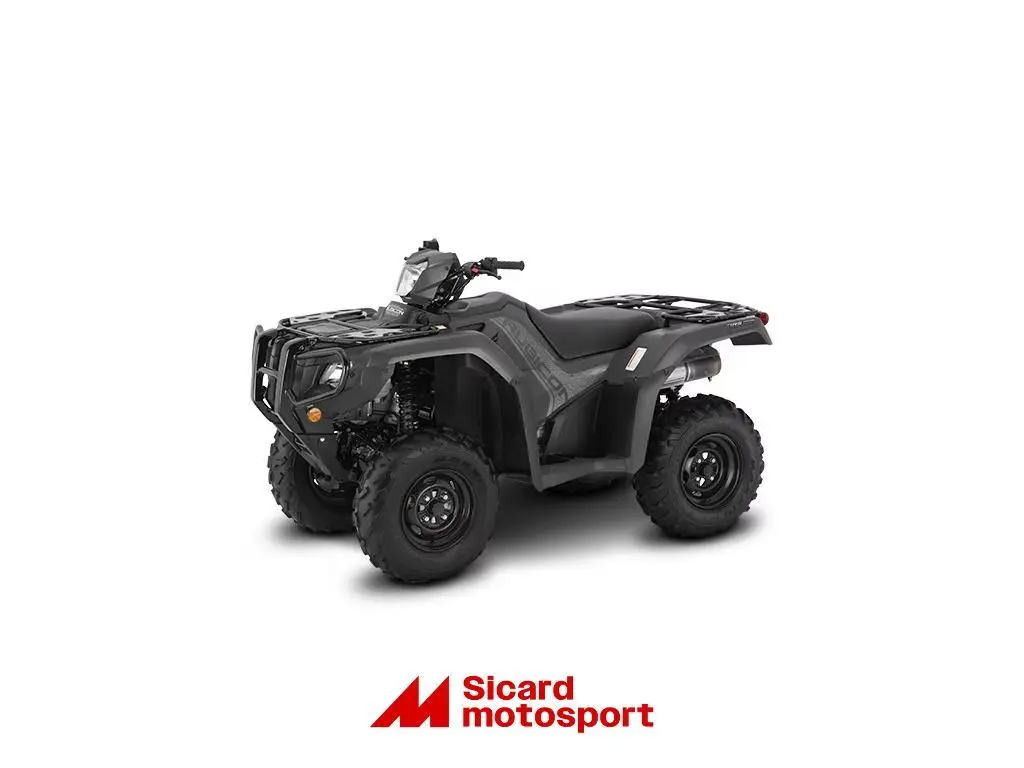 Honda Rubicon IRS EPS 2025