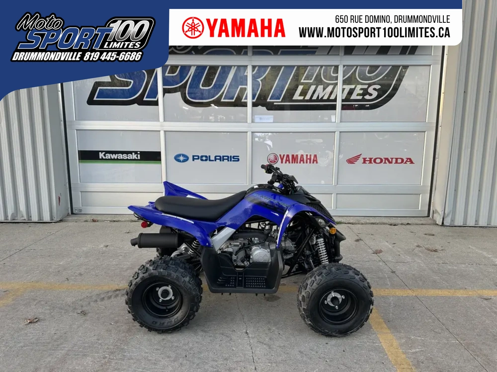 2025 Yamaha Raptor 110 alt