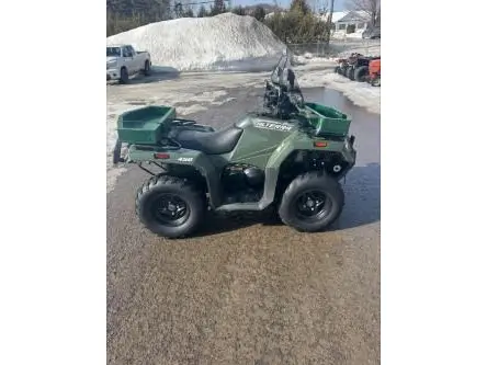 2021 Arctic Cat alterra 450