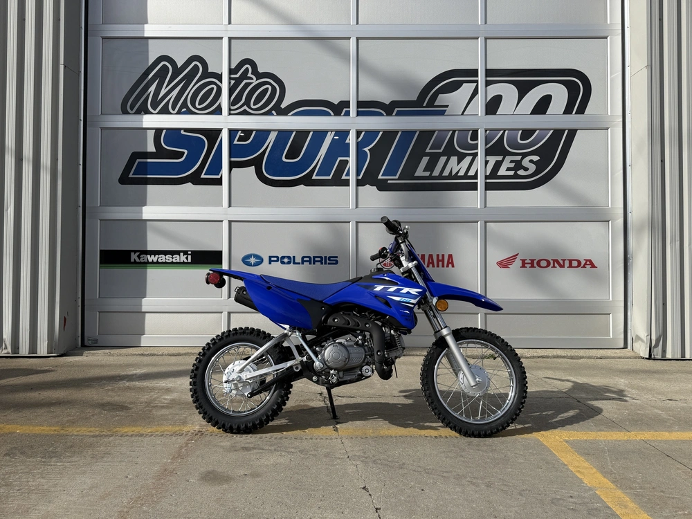 2025 Yamaha Tt-r110 alt