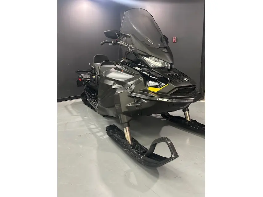 2022 Ski-Doo SKANDIC SWT 600R