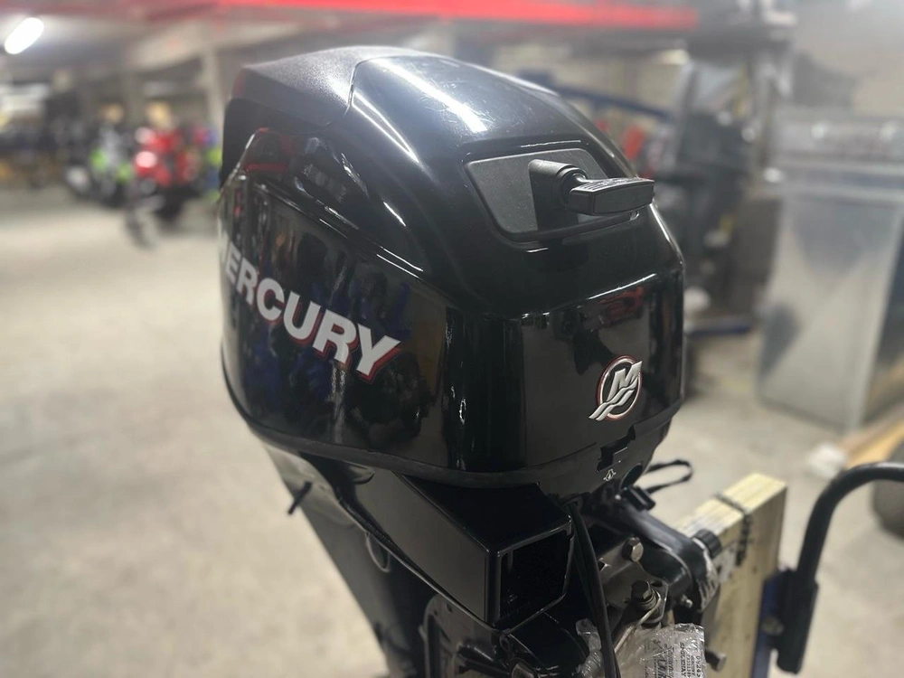 Mercury F25 Elpt 2009 alt