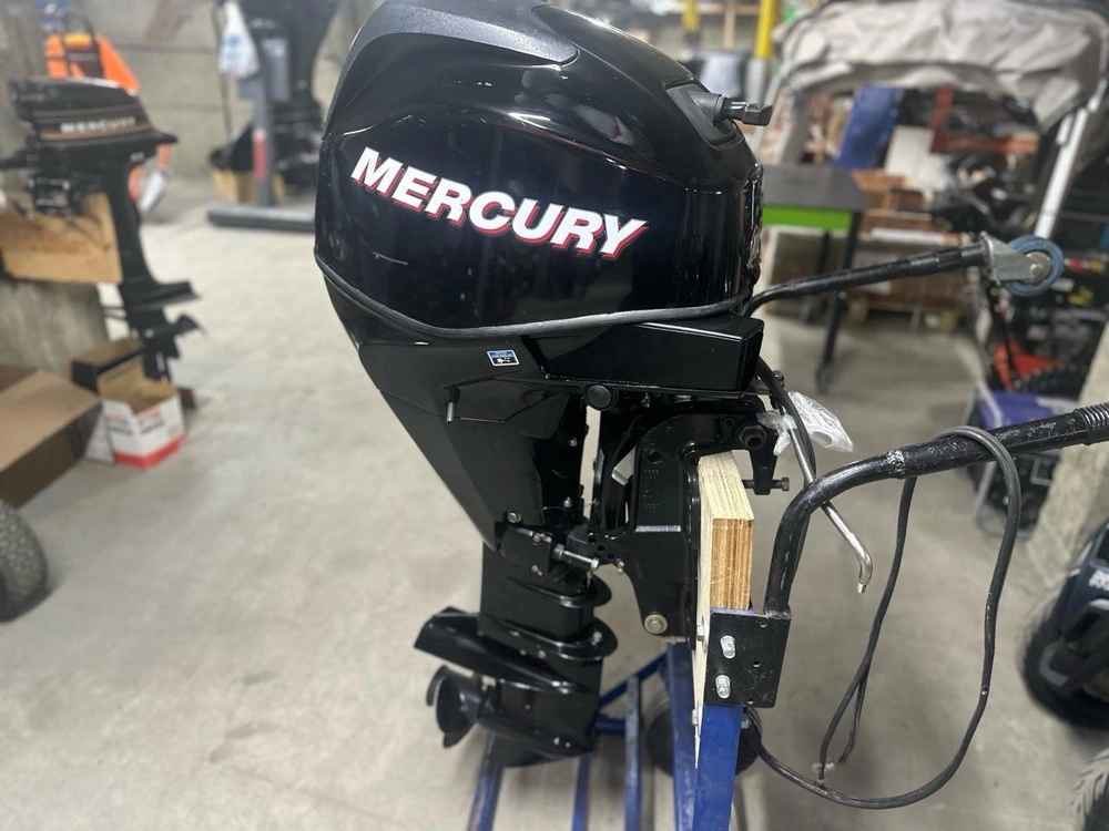 Mercury F25 Elpt 2009 alt