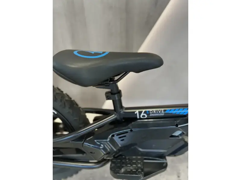 2025 STACYC 16eDRIVE BIKE