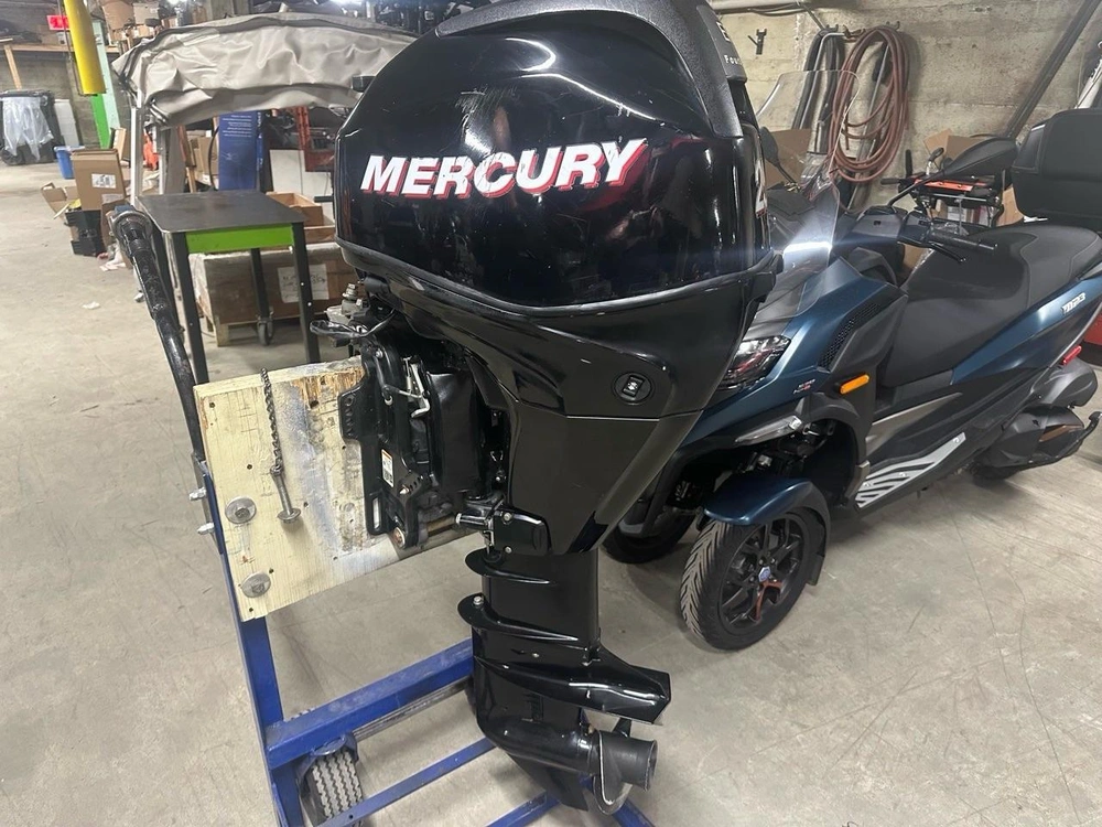 Mercury F25 Elpt 2009 alt