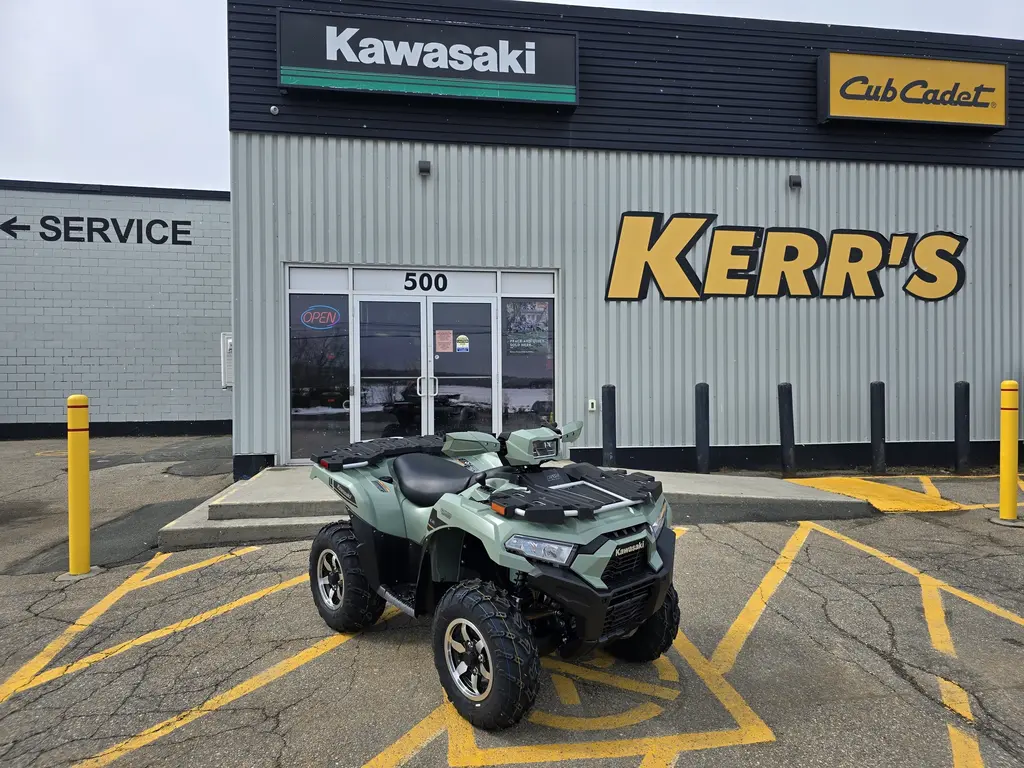 2025 Kawasaki KVF750PSFNN - Brute Force 750