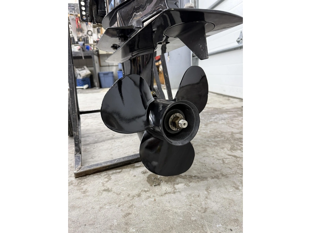 2023 Mercury 50elhptct alt