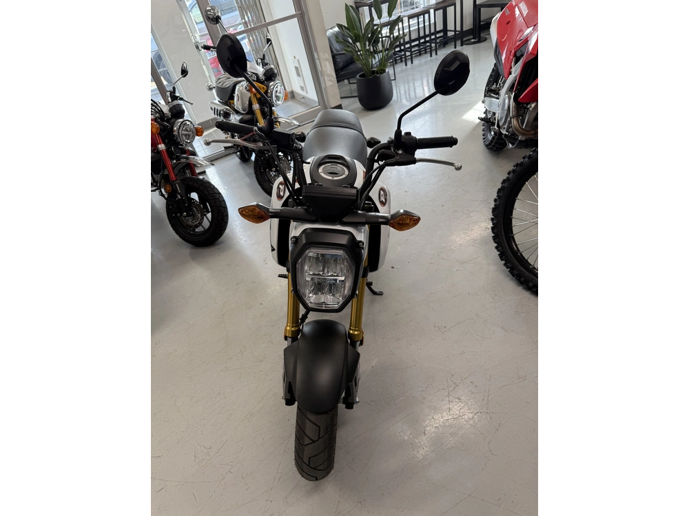 Honda Grom Grom Msx125 2022 alt
