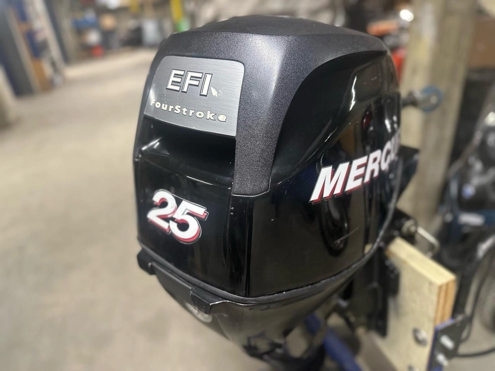 Mercury F25 Elpt 2009 alt