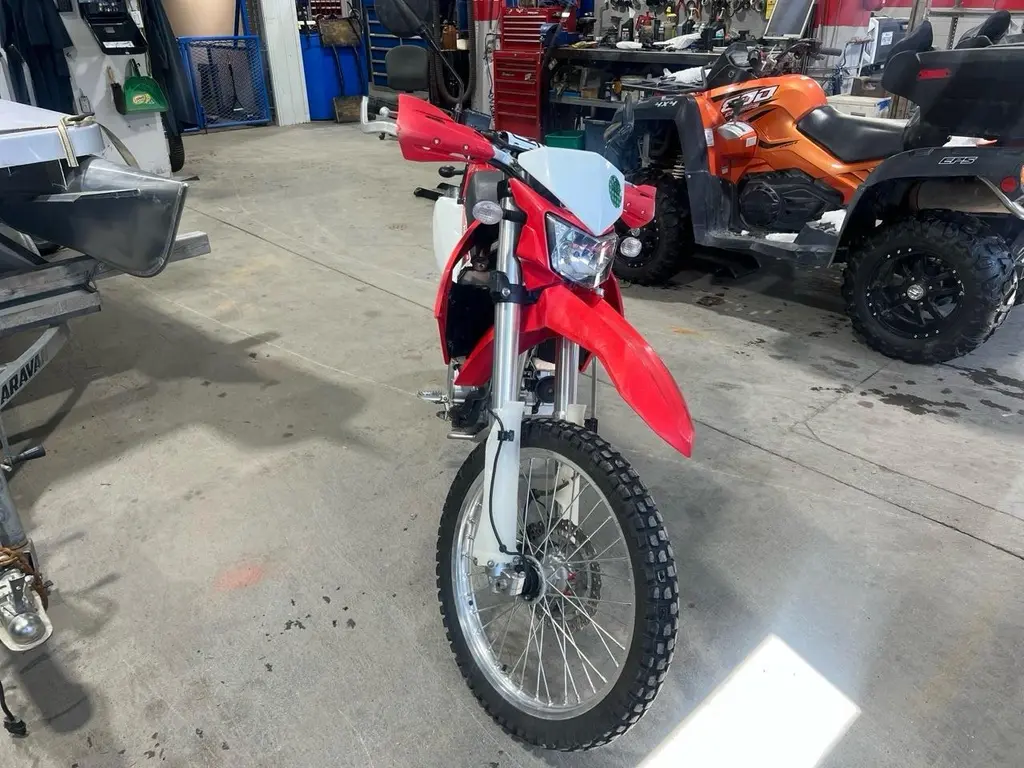 2009 Kawasaki KLX 250