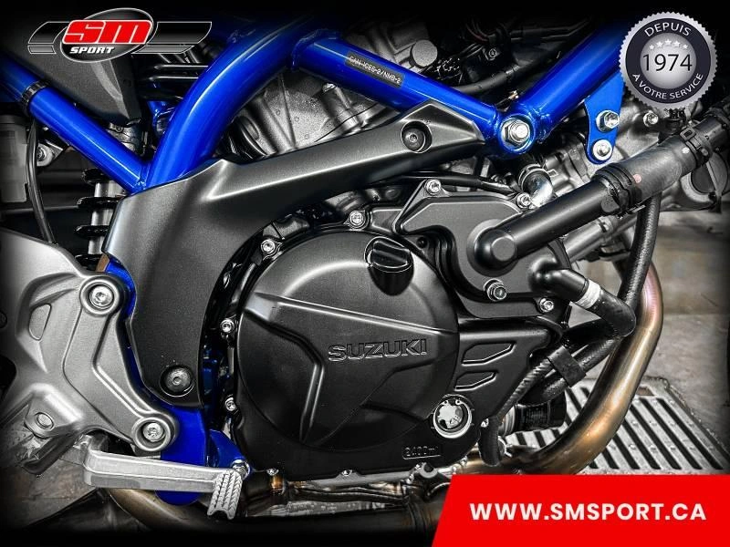 2025 Suzuki Sv650a alt