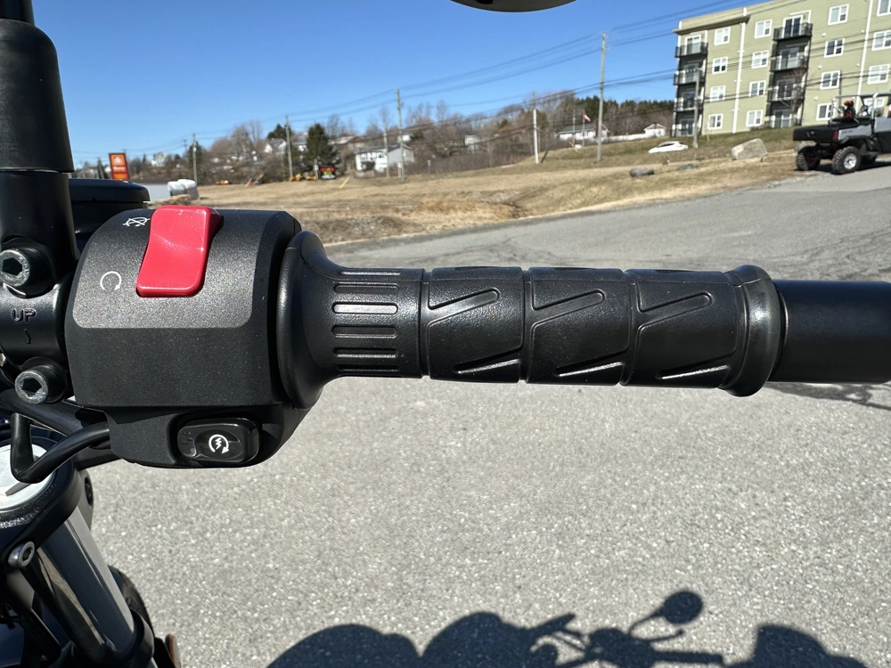 2025 Kawasaki Eliminator 500 alt