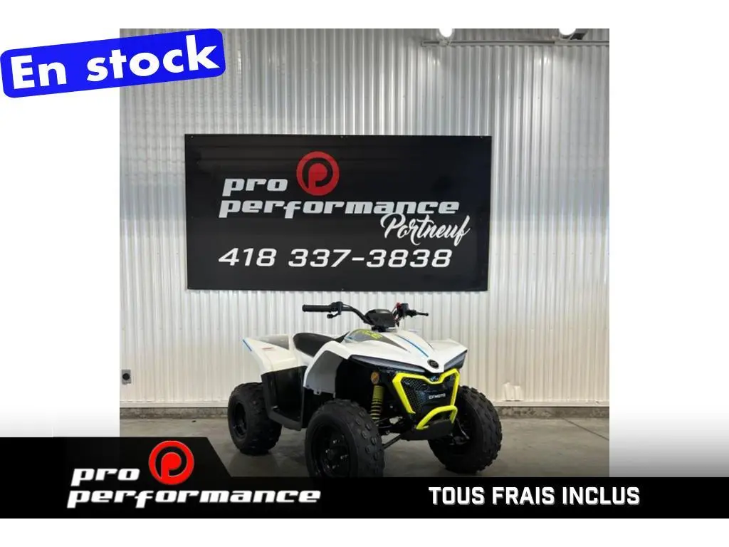 CFMOTO CFORCE EV110  2024