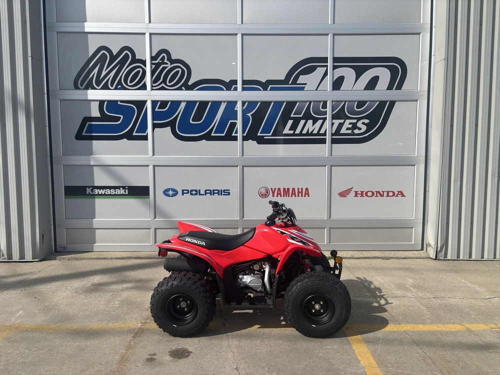 2025 Honda Trx90x alt
