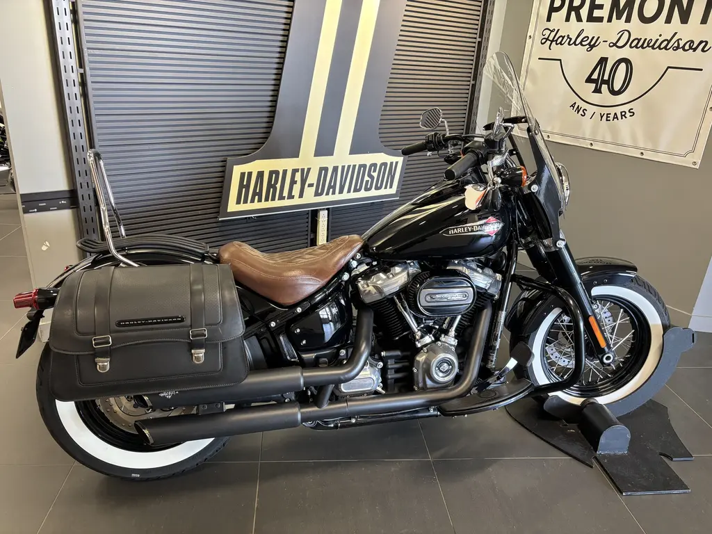 2019 Harley-Davidson FLSL Softail Slim FLSL