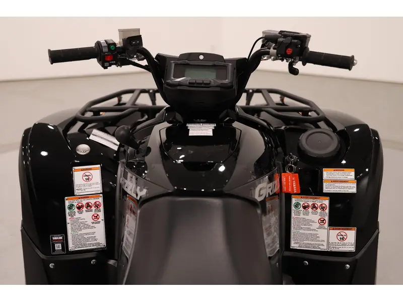 2025 Yamaha GRIZZLY EPS SE